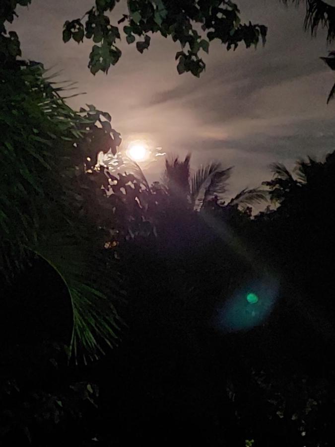 Matteo'S Hus Villa Rental Zamboanguita  外观 照片