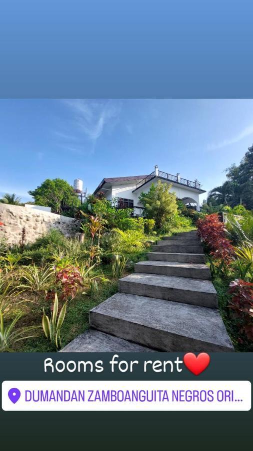 Matteo'S Hus Villa Rental Zamboanguita  外观 照片