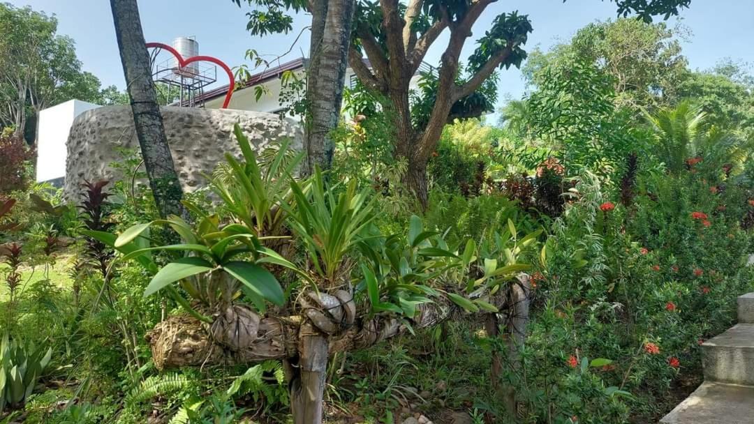 Matteo'S Hus Villa Rental Zamboanguita  外观 照片
